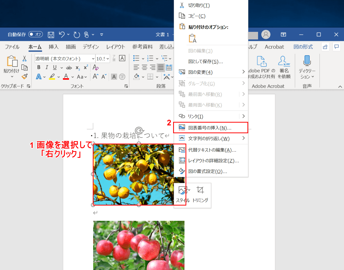 図表番号の挿入