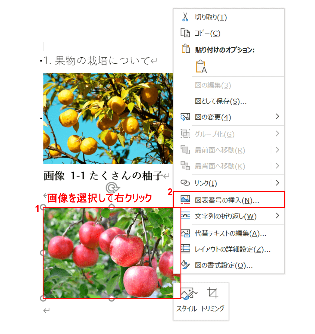 図表番号の挿入