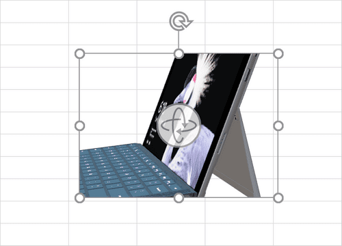 一部分だけを表示