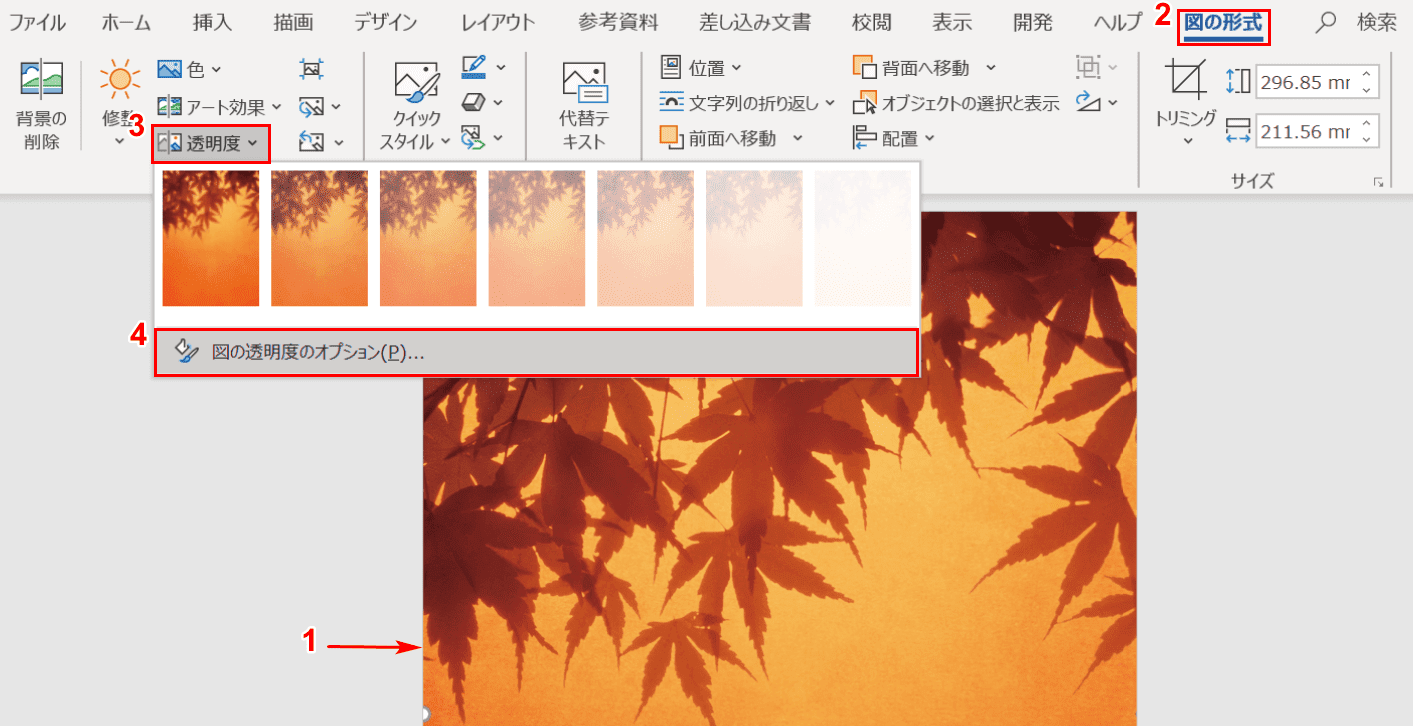 図の透明度のオプション