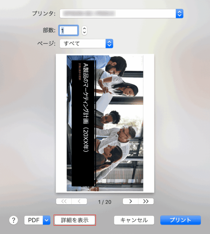 pdf-save-only-one-page mac プレビュー　詳細設定
