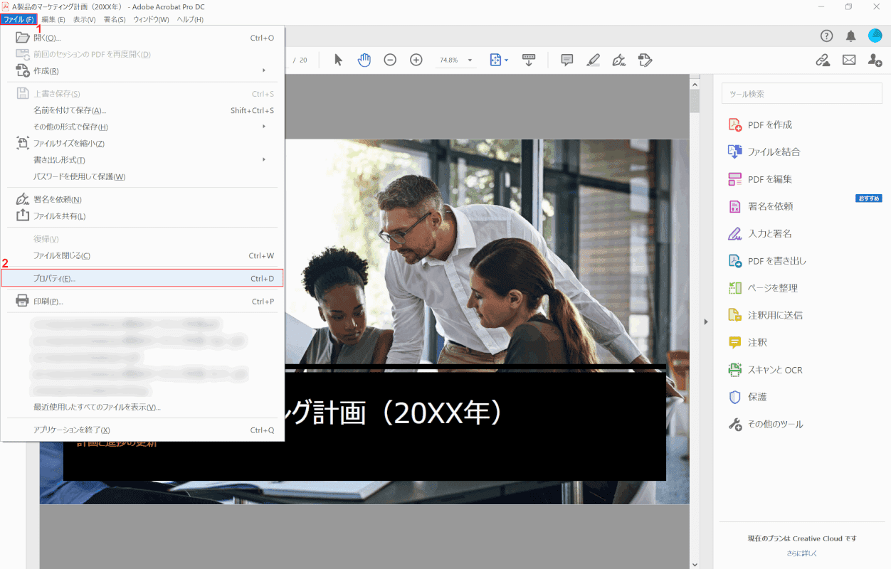 pdf-save　見開き　Adobe Acrobat Pro プロパティ
