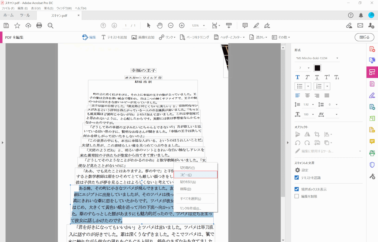 pdf-text-conversion Adobe Acrobat Pro　コピー