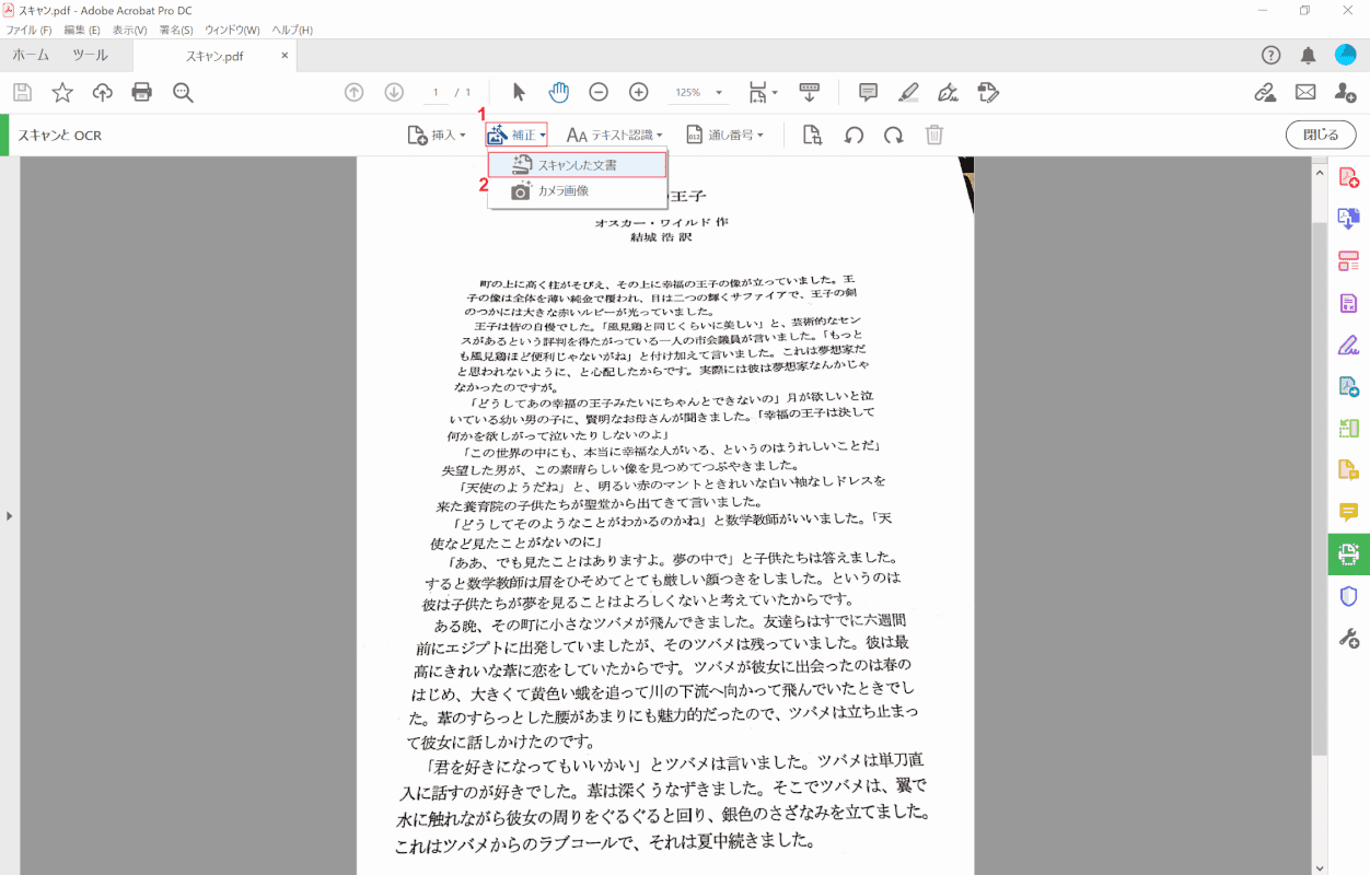 pdf-text-conversion Adobe Acrobat Pro 補正選択