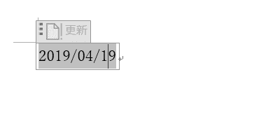 フィールドをロックした状態