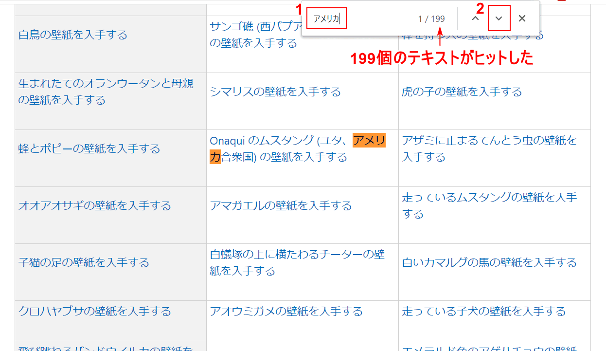 アメリカで検索