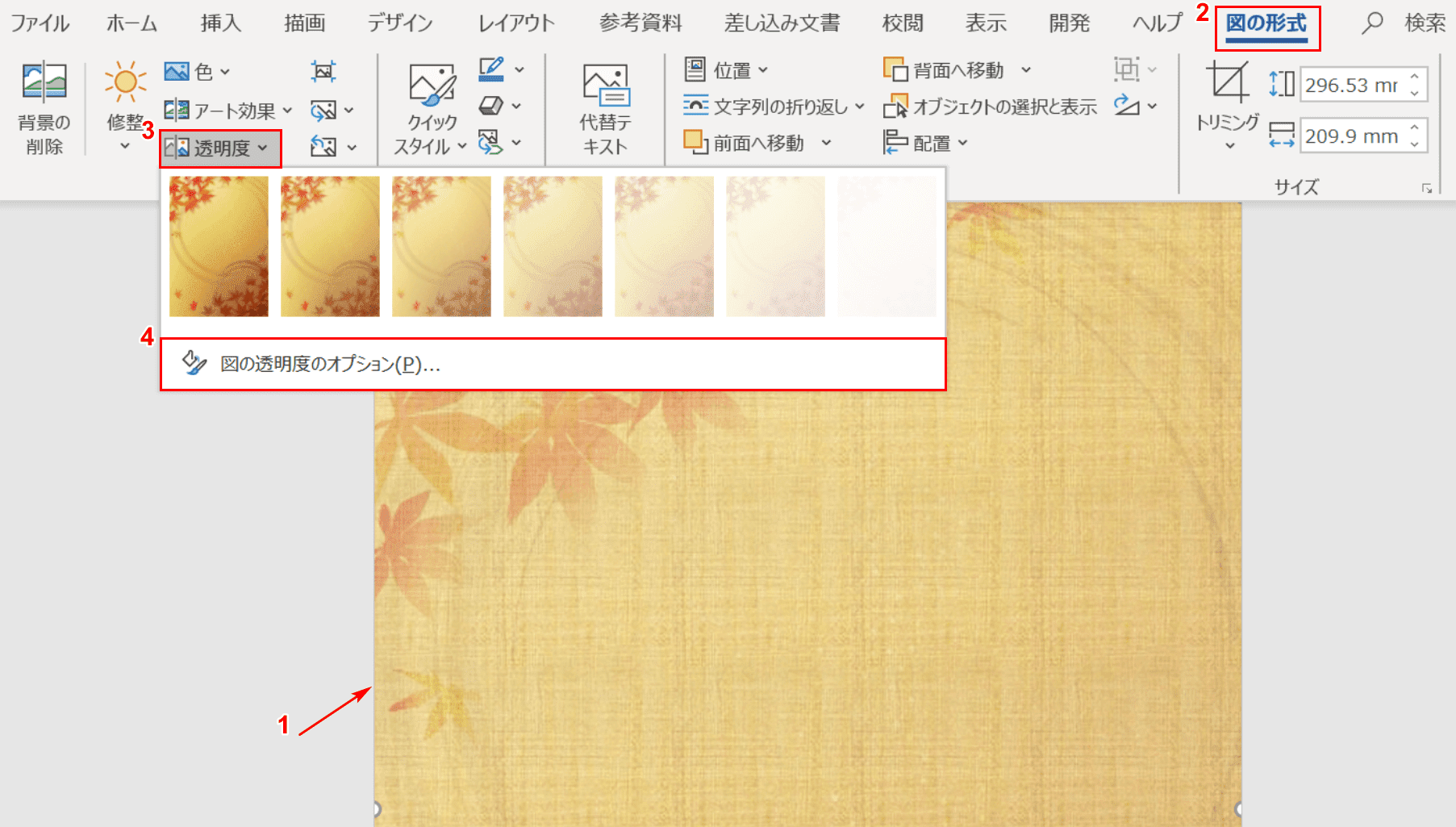 図の透明度のオプション