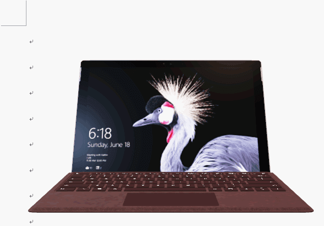 Surface Pro -バーガンディの挿入