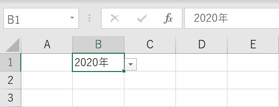 年数の入力結果