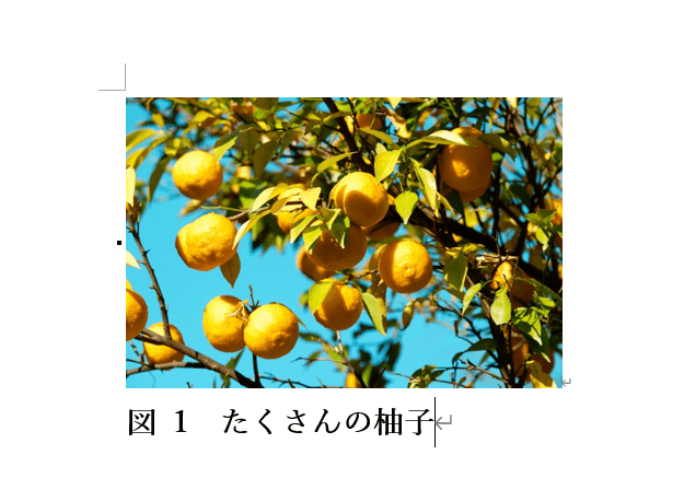 完了