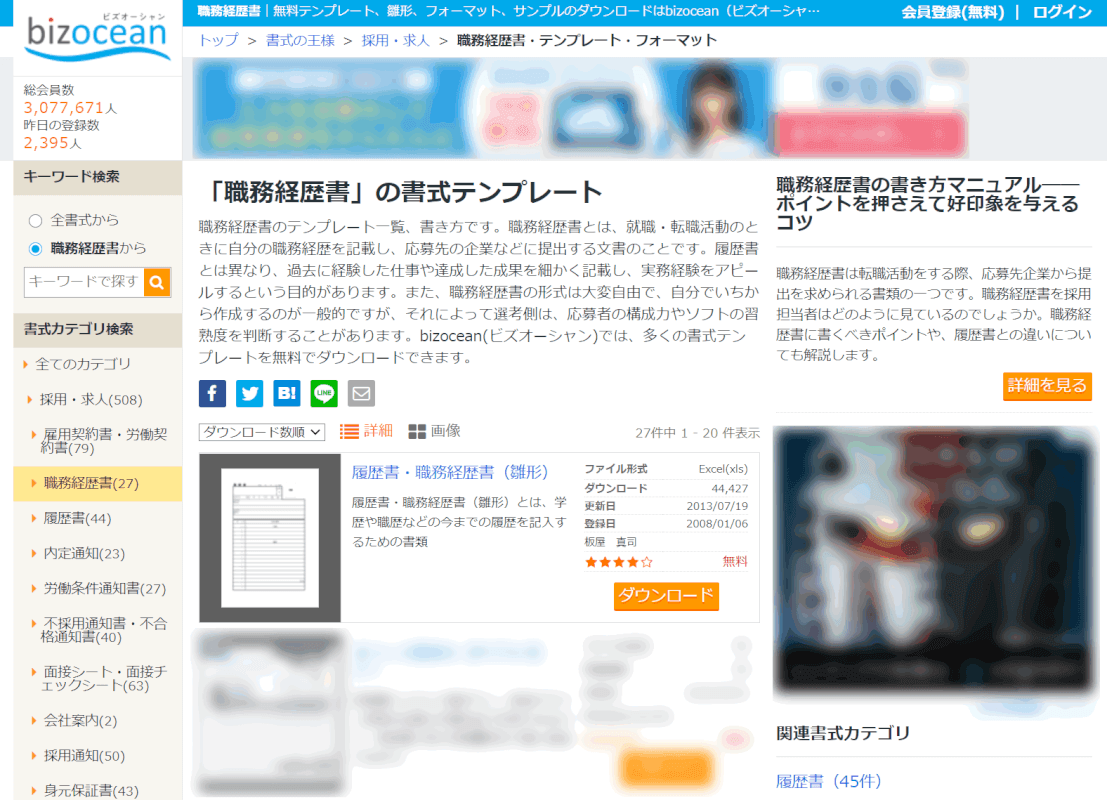 curriculum-vitae bizocean