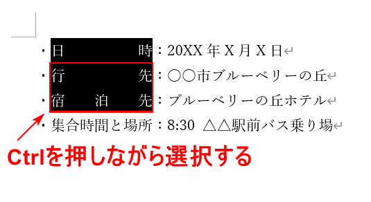 Ctrlキーを押しながら選択