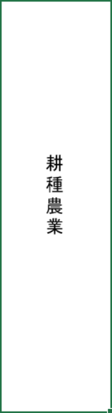 縦書きのテキストボックス