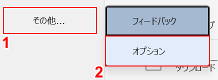 オプションを選択する