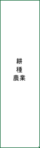 テキストボックスでの表示