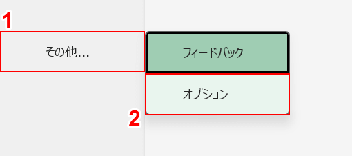 オプションを選択する