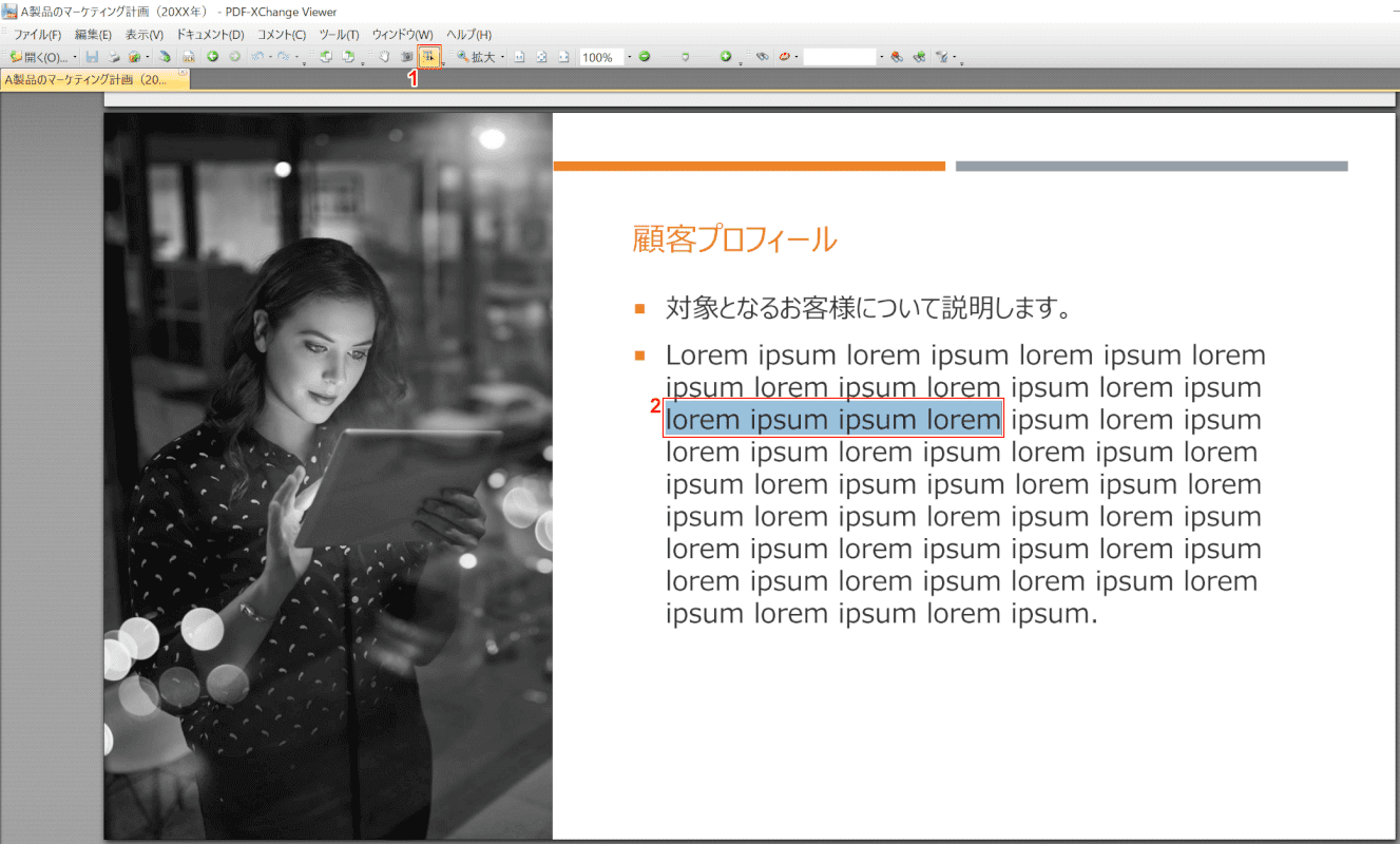 marker PDF-XChange Viewer 開く
