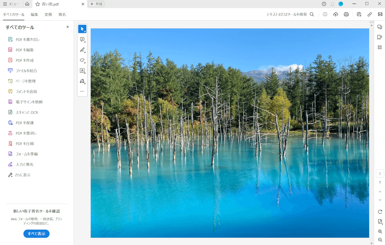 青い池のPDF