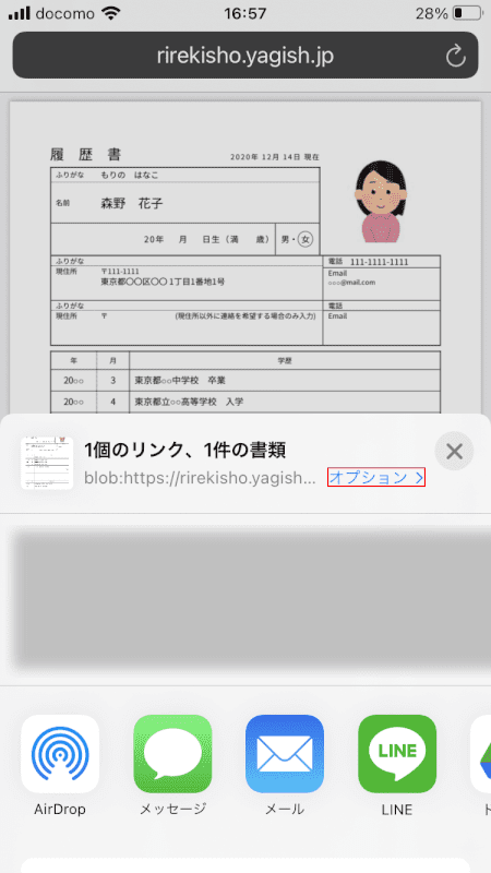 pdf-resume yagishオプション