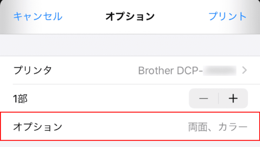 オプションの選択