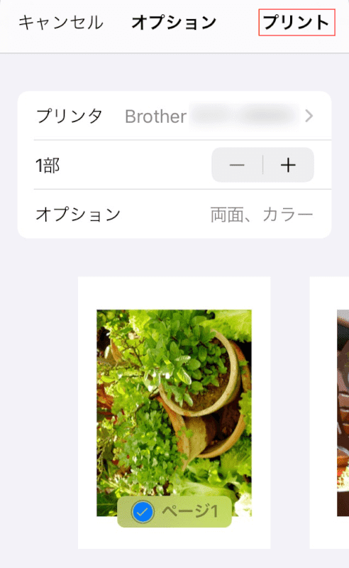 プリントする