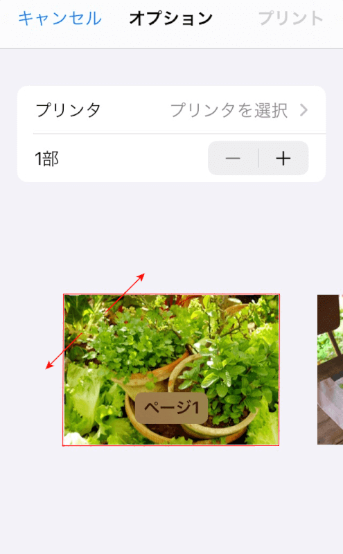PDF化する