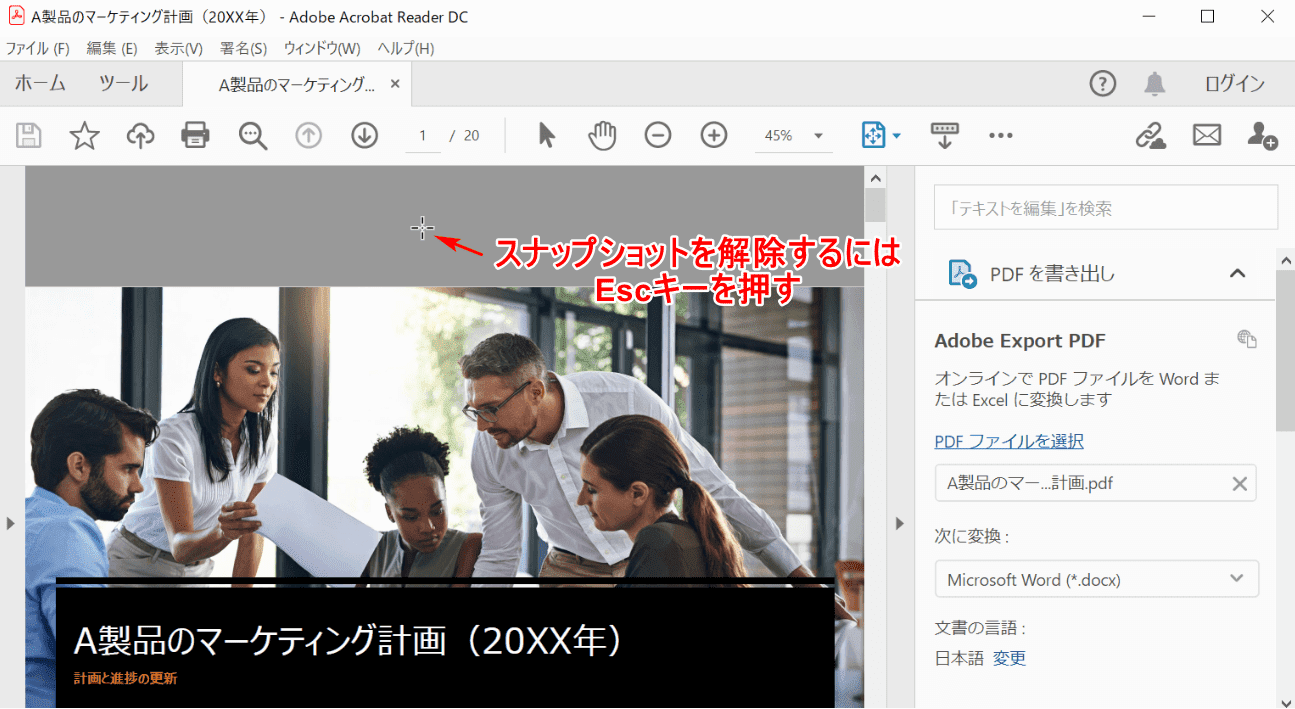 Pdfのスナップショットに関する情報 解像度や設定方法など Office Hack