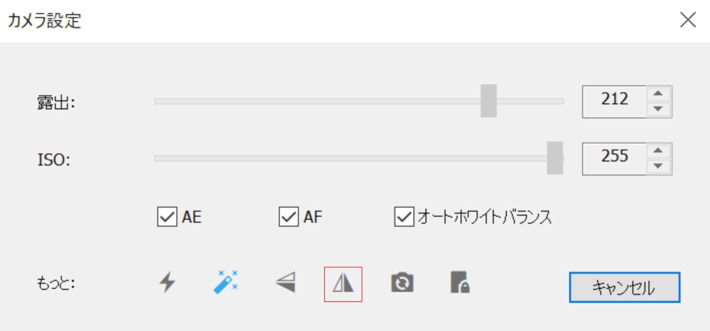 水平ミラーリングの設定