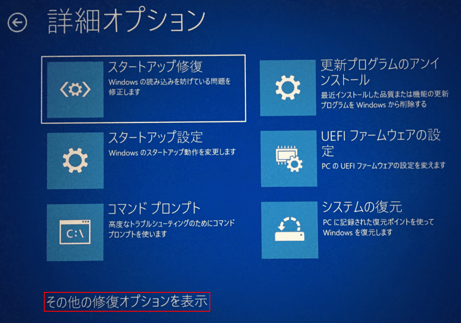 詳細オプション
