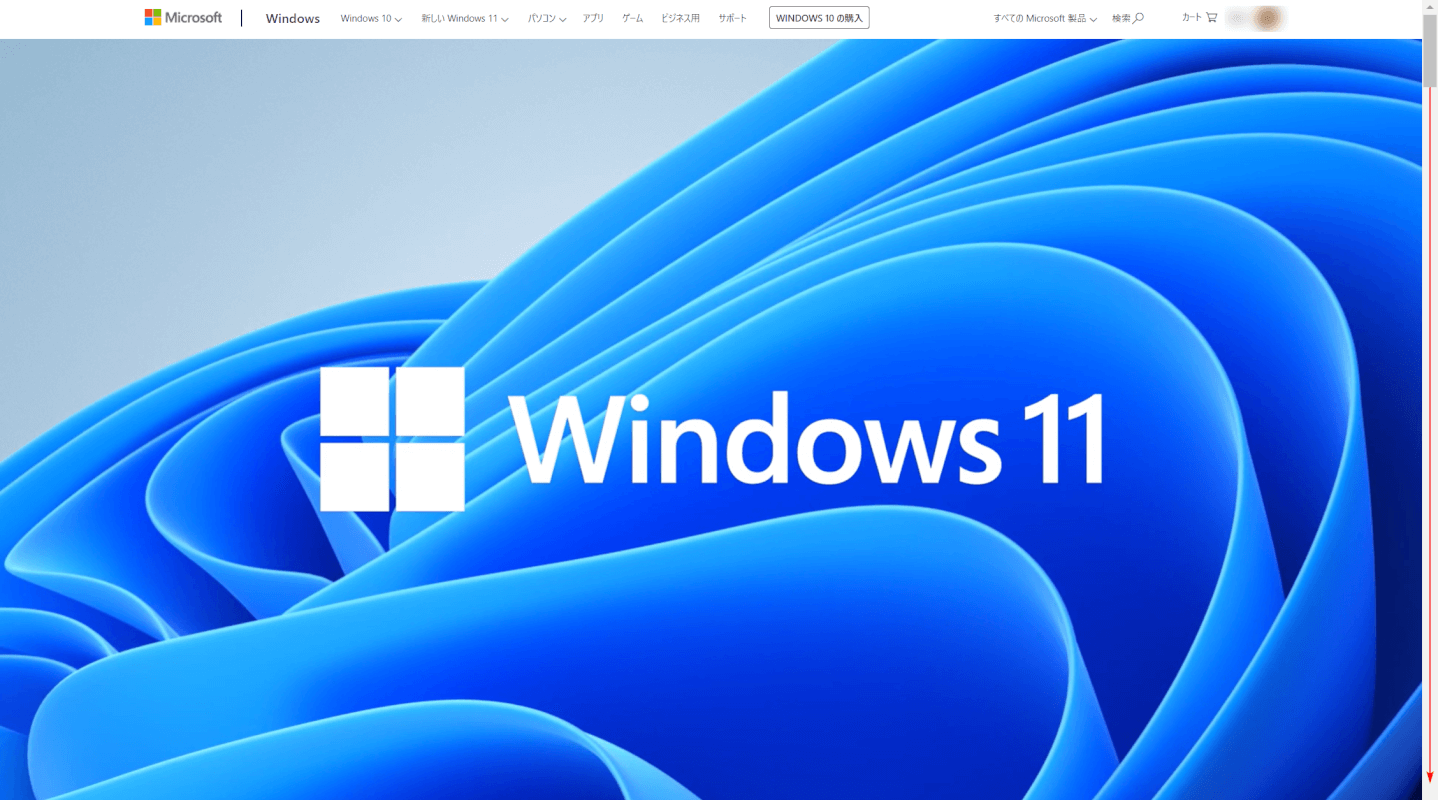 Windows 11