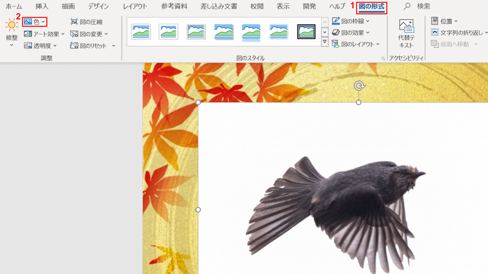 図の形式 色